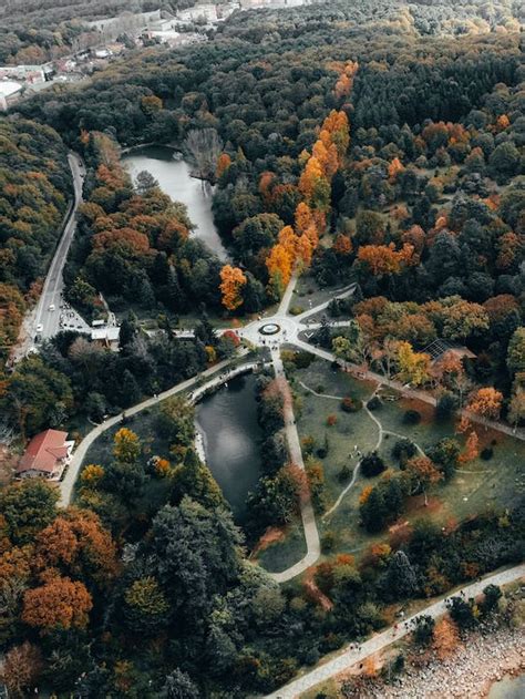 Aerial View of Green and Autumn Trees Along Road Network · Free Stock Photo