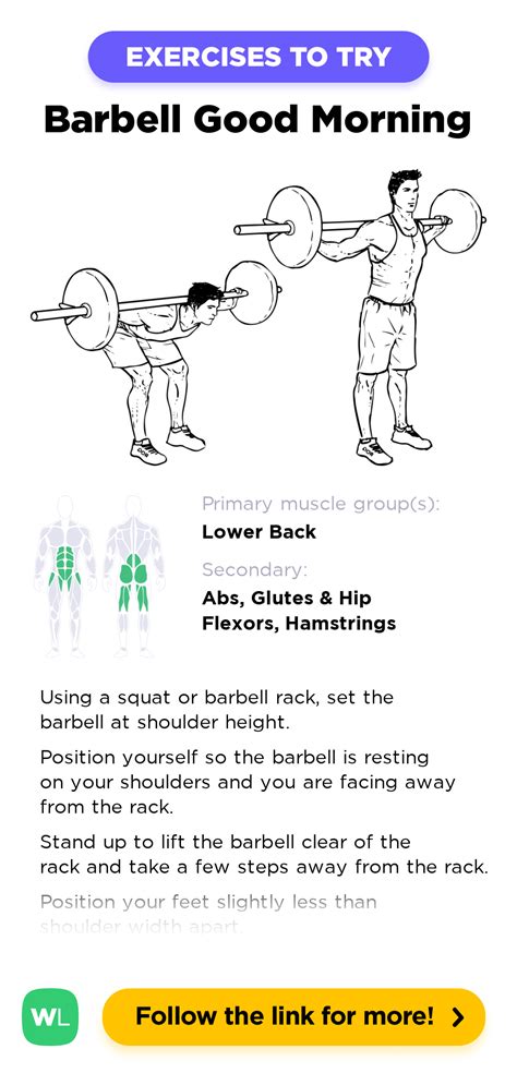 Barbell Good Mornings – WorkoutLabs Exercise Guide