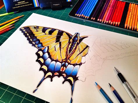 More progress on my Swallowtail Butterfly colored pencil drawing https://www.etsy.com/shop ...