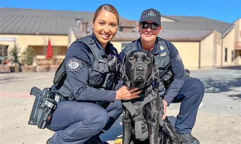 Police Department hosts open house