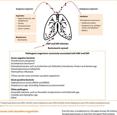 Hospital-acquired pneumonia and its management | Semantic Scholar