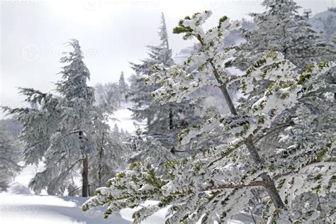 In the snowy mountains near Kusatsu Onsen, Japan 8740666 Stock Photo at ...