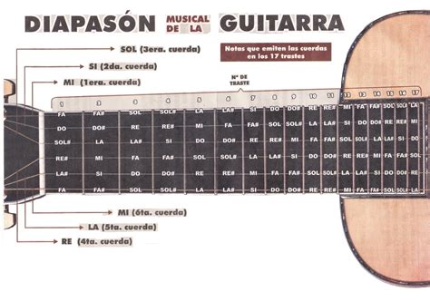 MÚSICA Y PARTITURAS JOSECOR: LAS NOTAS MUSICALES EN EL DIAPASÓN DE LA ...