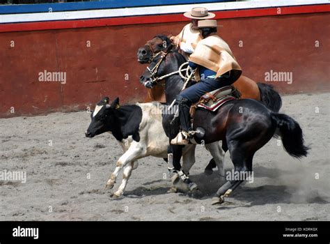 chilean cowboy, huaso Stock Photo - Alamy