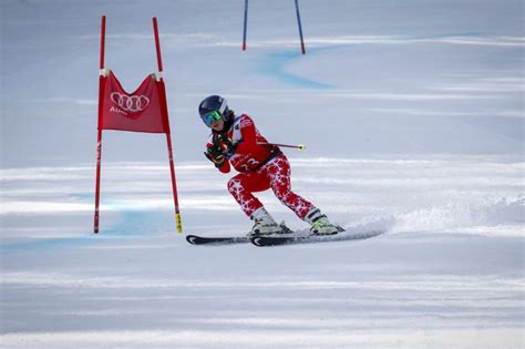 Skier running a Giant Slalom Course image - Free stock photo - Public ...