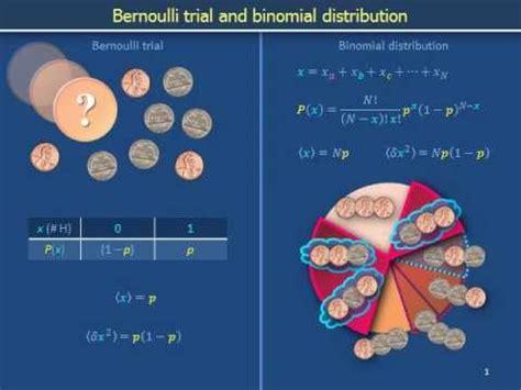 Probability 101a: Bernoulli trial and binomial distribution - YouTube