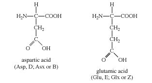 Amino acid - Building Blocks, Structure, Functions | Britannica