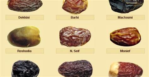 Types of Dates