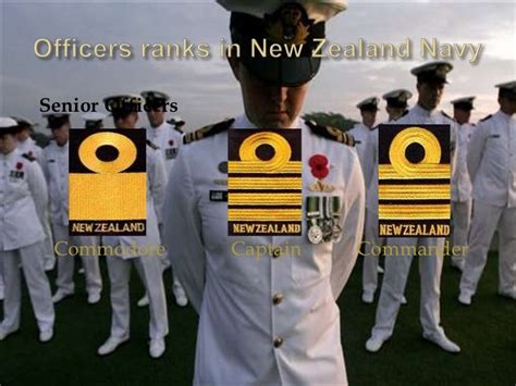 Royal new zealand navy