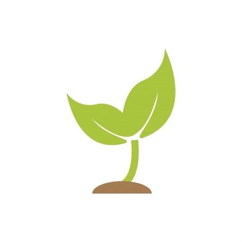 Plant Icon Png