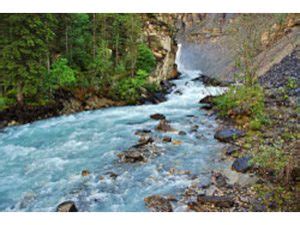 Mount Robson Provincial Park - Robson River Campground | Camping & RVing BC