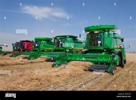 World harvest for kids hi-res stock photography and images - Alamy