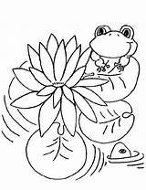 Free Printable Coloring Pages Water & coloring Book 6000  sketch template