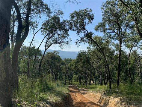 Bunyip State Park | Trail Navigator Victoria