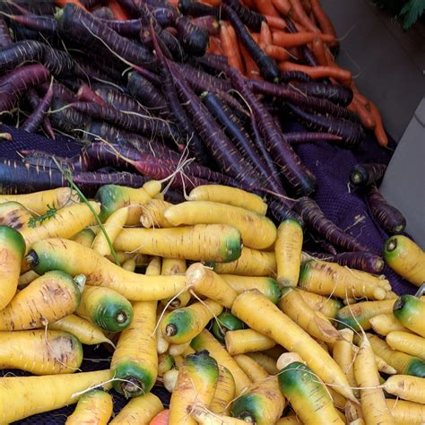 Finding Purple Carrots | Traveling Chili