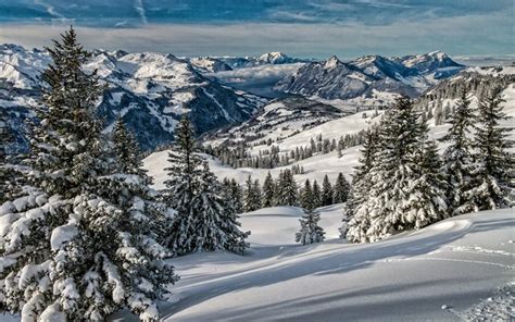 Download wallpapers Alps, winter, mountains, beautiful nature, Switzerland, snowy forest, Europe ...