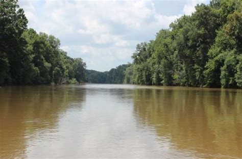 Ocmulgee River Deep Water Retreat Offers Seclusion and Recreation ...