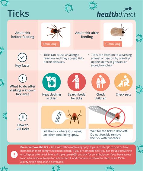 What Happens After A Tick Falls Off A Dog