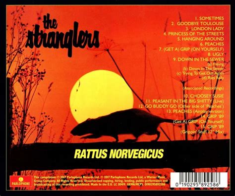 Memorabilia-Rattus Norvegicus – The Stranglers (Official Site)