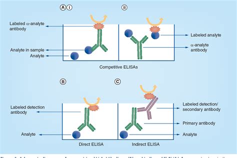 Figure 3 from Fundamentals of large-molecule protein therapeutic ...