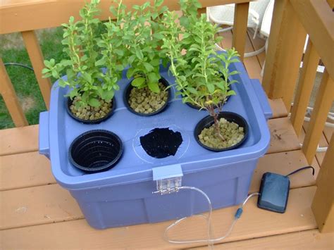 Hydroponics, Indoor vegetable gardening, Homemade hydroponic system