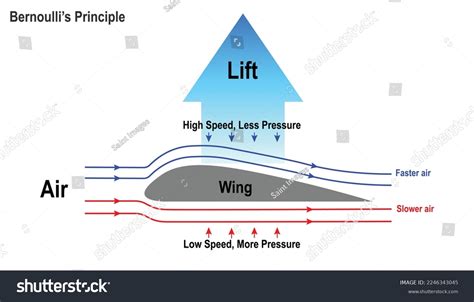 Diagram Showing Bernoullis Principle How Airplane Stock Vector (Royalty Free) 2246343045 ...