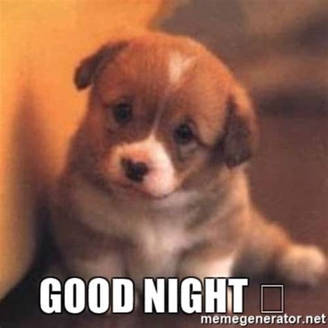 50 Cutest Goodnight Memes - SayingImages.com