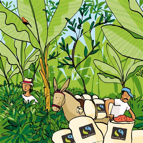 Fairtrade Coffee – Puro Fairtrade Coffee