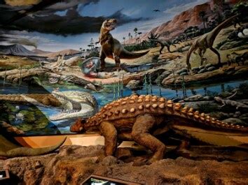 Fernbank Museum 3D Theater Forest | Atlanta - What to Expect | Timings ...