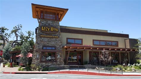 Lazy Dog Restaurant & Bar - 520 Photos & 783 Reviews - American (New ...