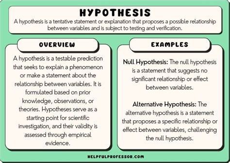 15 Hypothesis Examples (2024)