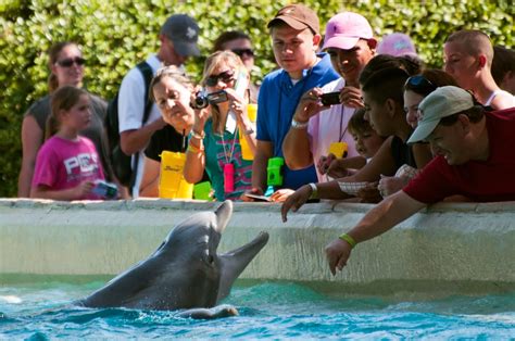 SeaWorld San Antonio - 429 Photos & 317 Reviews - Amusement Parks ...