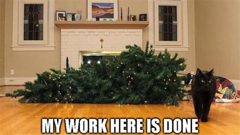 30+ Funny Christmas Tree Memes Worth Sharing on Social Media