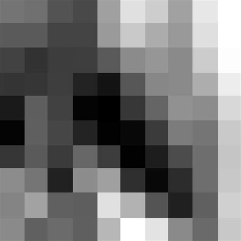 The Pixelated Image Of Life