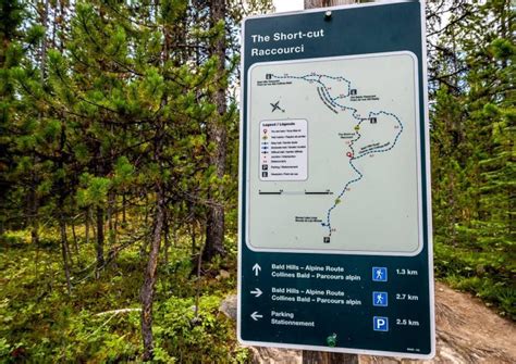 Bald Hills Trail Hike, Jasper National Park | Hike Bike Travel