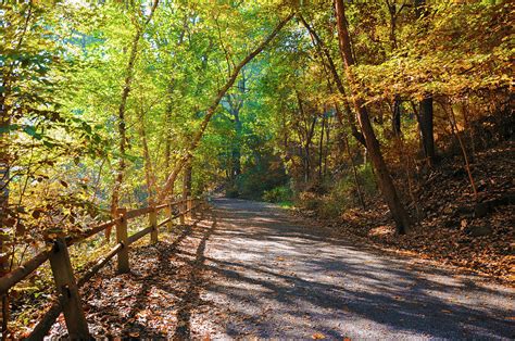 Autumn Morning in the Wissahickon Valley Photograph by Bill Cannon - Fine Art America