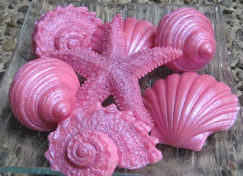 20+ Best Pink Seashell images | sea shells, shells, pink