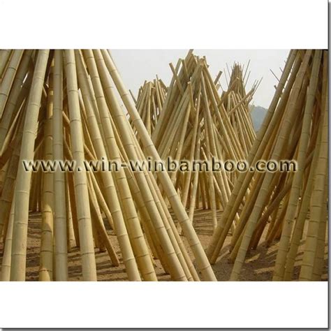 decorative moso bamboo poles