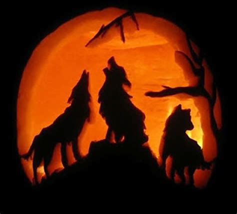 11 creative pumpkins carved to look like wildlife | Pumpkin carving, Halloween pumpkin carving ...