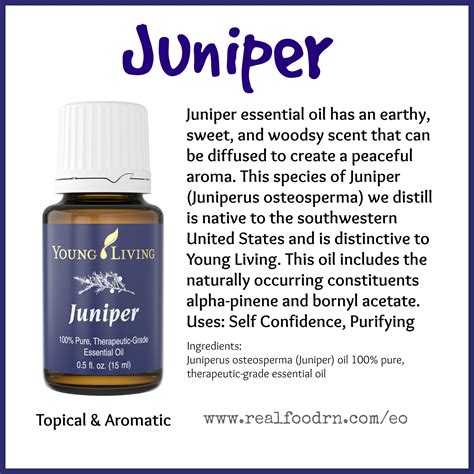 Juniper Essential Oil - Real Food RN