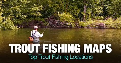 Trout Fishing Near Me - Top Trout Fishing Spots in the US - Outdoors Cult