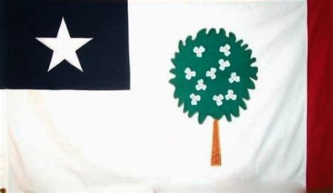 Mississippi Republic Magnolia Confederate 3×5 Flag – flagsandstuff.com