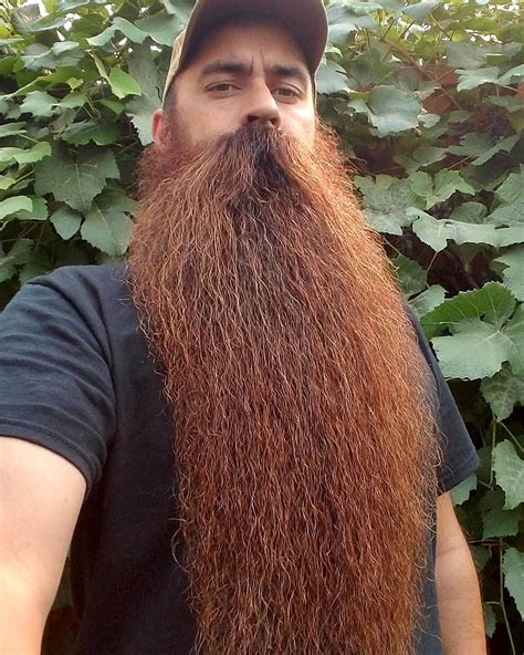 Pin by chuck smith on BEARDED GLORY | Long hair beard, Beard styles ...