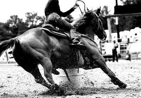 Rodeo Horse Quotes. QuotesGram