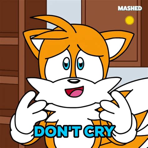 Tails Crying In Sonic X