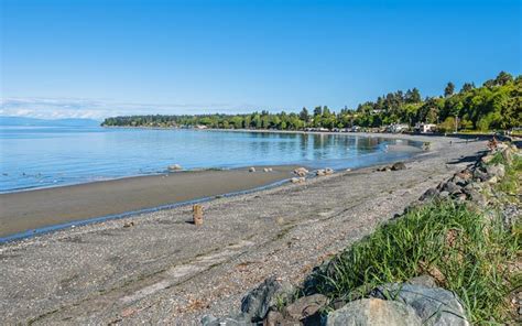 Susan Forrest | Region - Qualicum Beach