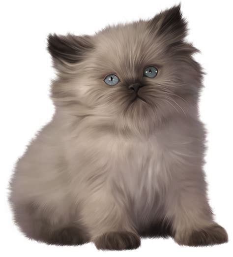 Free Cute Kitten Transparent, Download Free Cute Kitten Transparent png images, Free ClipArts on ...