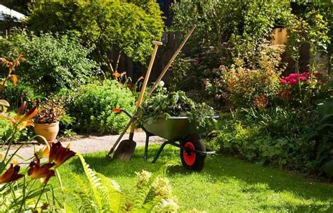 The Garden Maintenance Tips You Should Definitely Try! - Latest Home & Garden