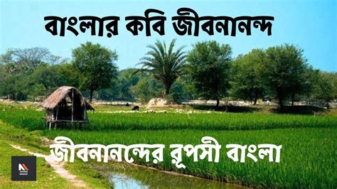 Best Bangla Kobita Line | আবার আসিব ফিরে | Abar asibo phire | জীবনানন্দ দাশ | Jibanananda Das ...