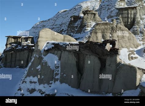 Bisti badlands ,petrified wood,New Mexico, USA Stock Photo - Alamy